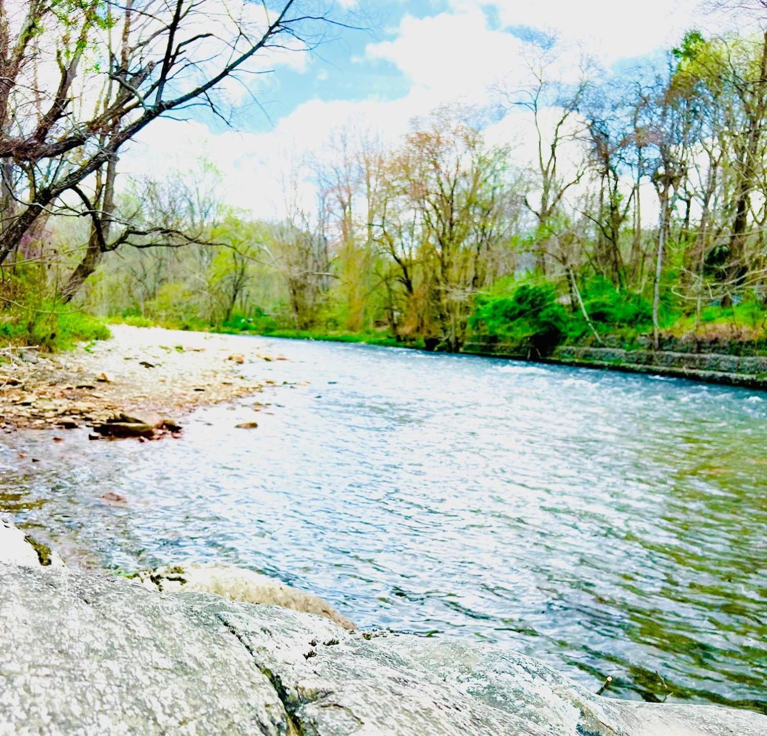 Newfound Lodge On The River شيرروكي المظهر الخارجي الصورة